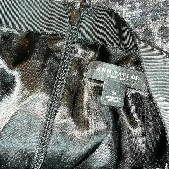 ANN TAYLOR skirt size 2 - Picture 3 of 3